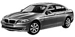 BMW F10 P2303 Fault Code